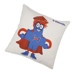 Cotton and Linen Square Pillows