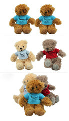 20cm Teddy Bear Plush Toy With T-Shirt