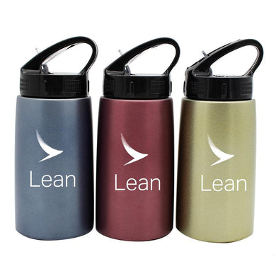 Stainless Steel Drinking Bottle With Handle And Spout
