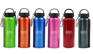 Stainless Steel Drinking Bottle With Broad Handle And Clip