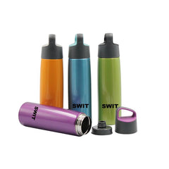 Stainless Steel Drinking Bottle With Angled Handle (Large)