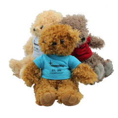 20cm Teddy Bear Plush Toy With T-Shirt