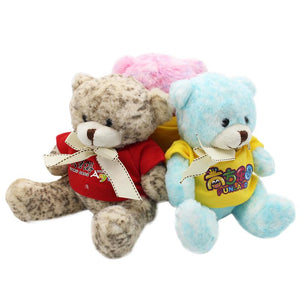 16cm Teddy Bear Plush Toy With Colourful Fur