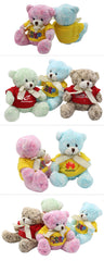 16cm Teddy Bear Plush Toy With Colourful Fur