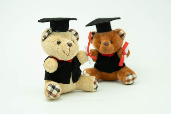 Graduation Bear Soft Toy