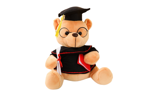 18cm Graduation Teddy Bear