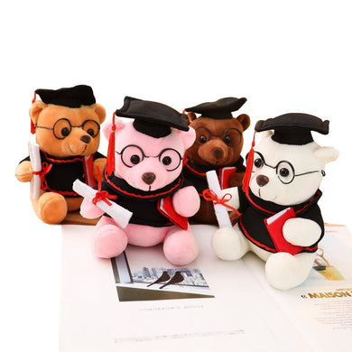 Graduation Bear in 4 Colour (23cm) Gift Ideas and Novelties One Dollar Only