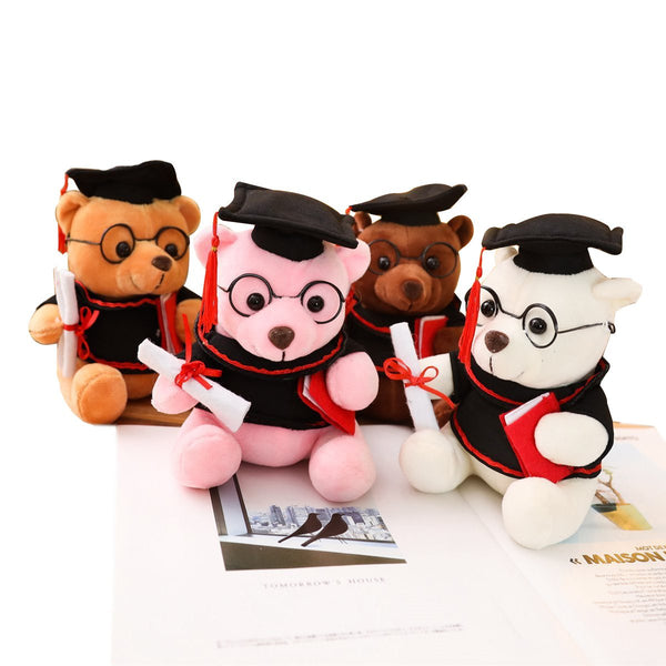 Graduation Bear in 4 Colour (18cm)